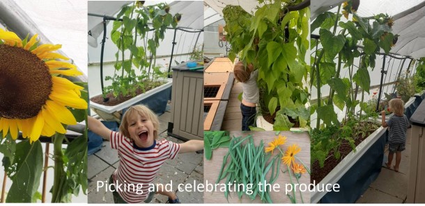 Picking and celebrating the produce